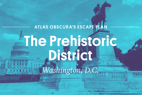 Escape Plan DC: The Prehistoric District