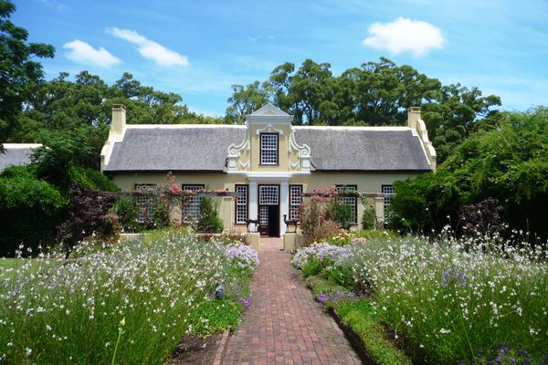 Vergelegen House with camphor trees behind