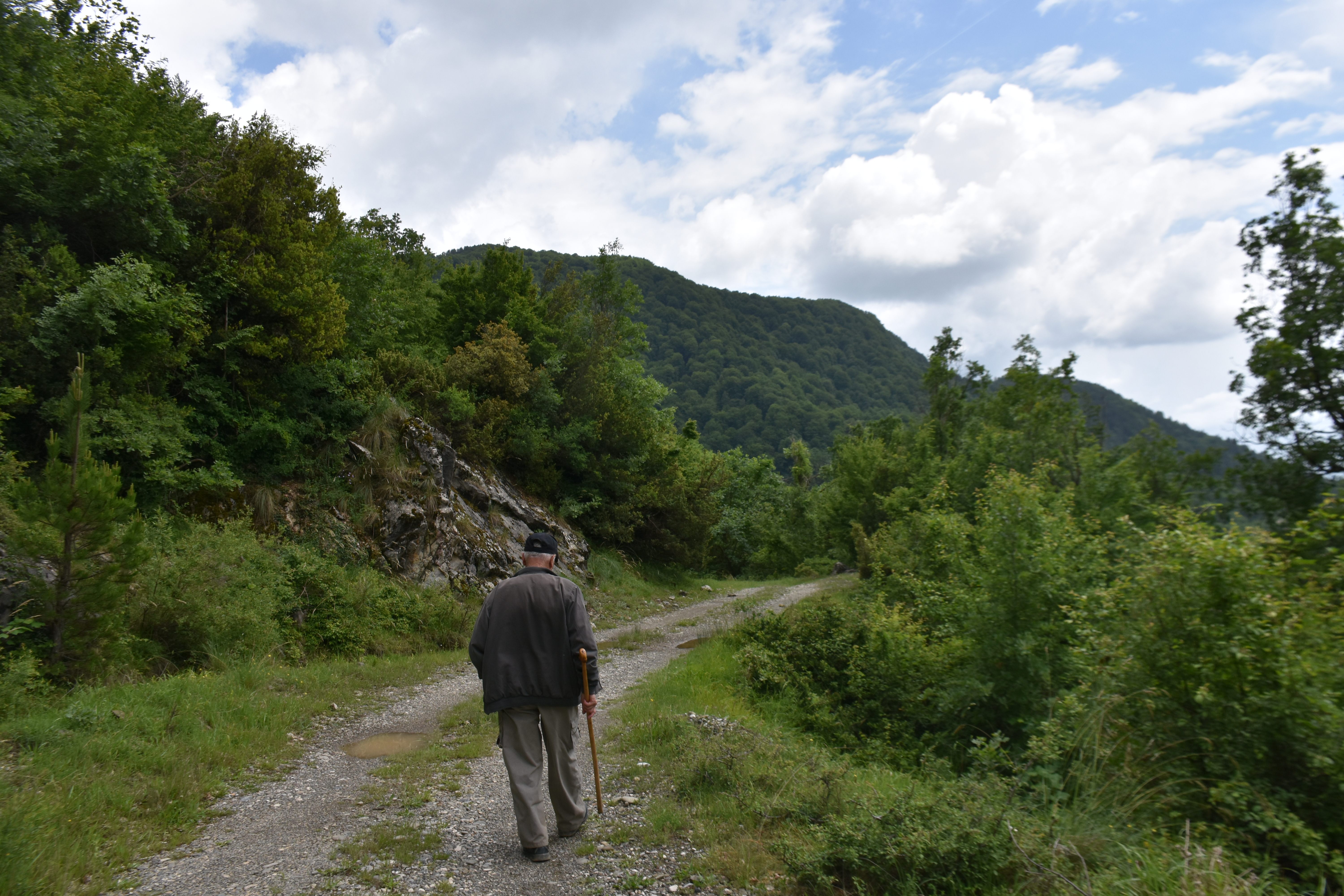 A local orchid harvester walks along a rural road in Ioannina, Greece.