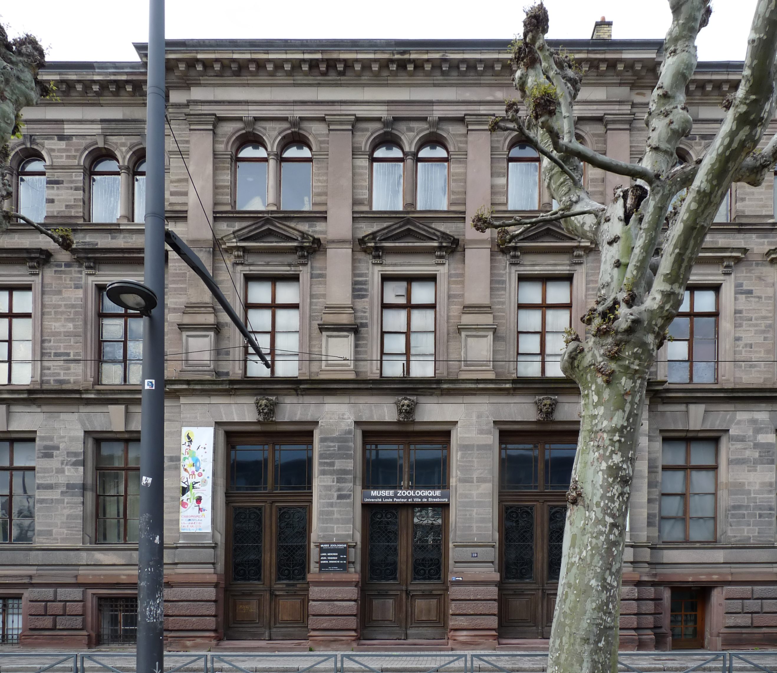The Strasbourg Zoological Museum