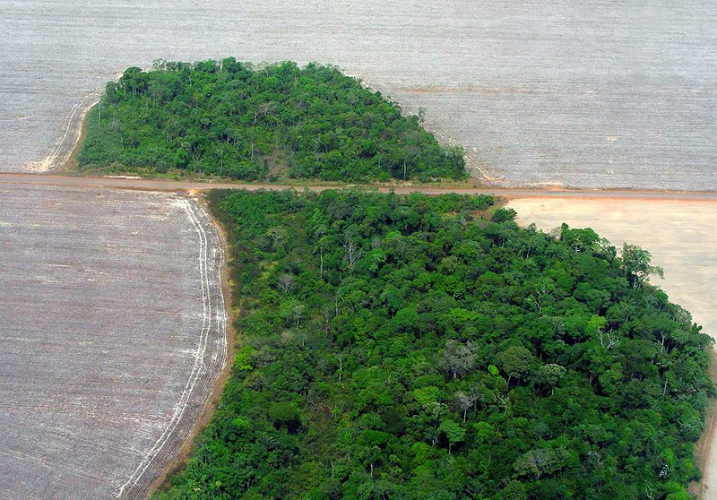 Deforestation in the Mato Grosso state of Brazil. 
