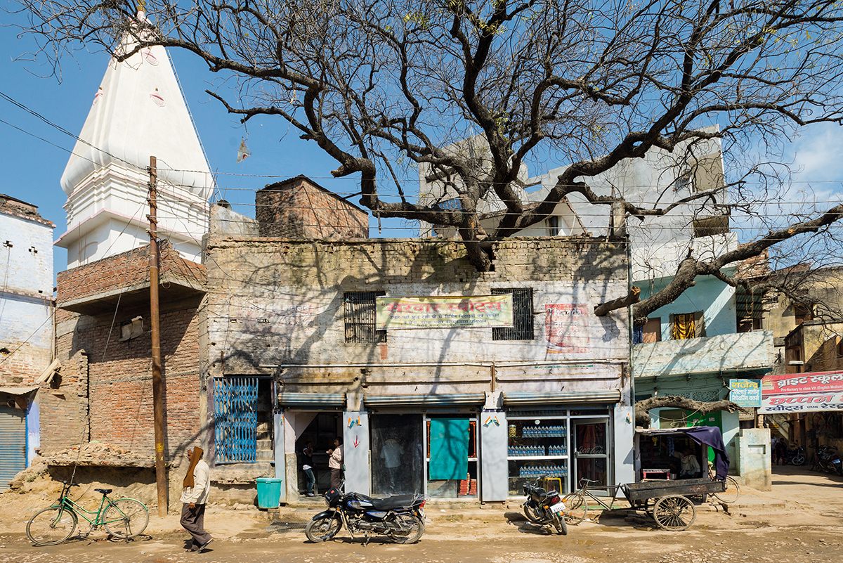 A neem tree poking through a shop in Varanasi, India, from <em>Wise Trees</em>.