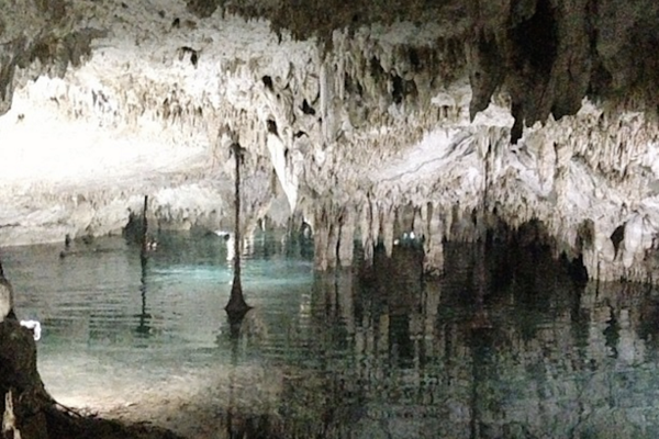 Sac Aktun Cenote aka Pet Cemetary Cenote