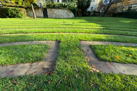 Maze