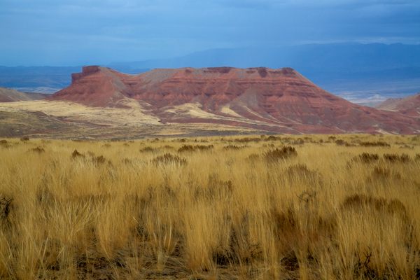 The Red Gulch Dinosaur Tracksite is in the heart of the Bighorn Basin in north-central Wyoming.