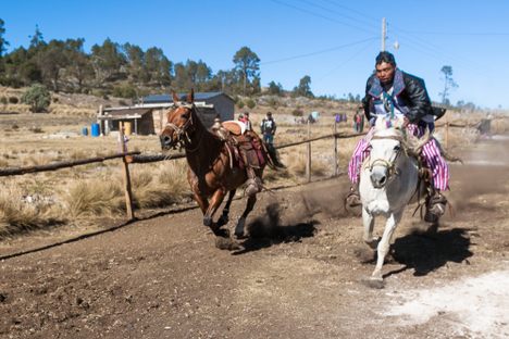 And They’re Off! Drunken Horse Racing in Guatemala
