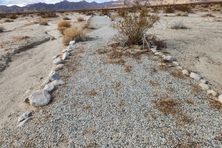 Path at Camp Coxcomb.