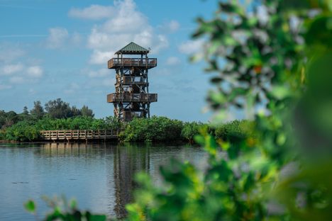 Valentine House at Robinson Preserve