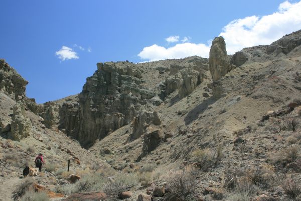 Wilson Canyon