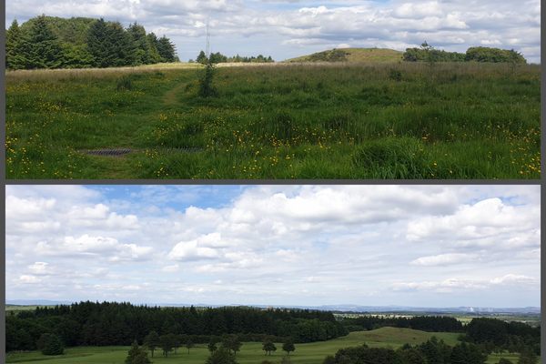 Top: Dechmont Trail BOTTOM: Dechmont Woods