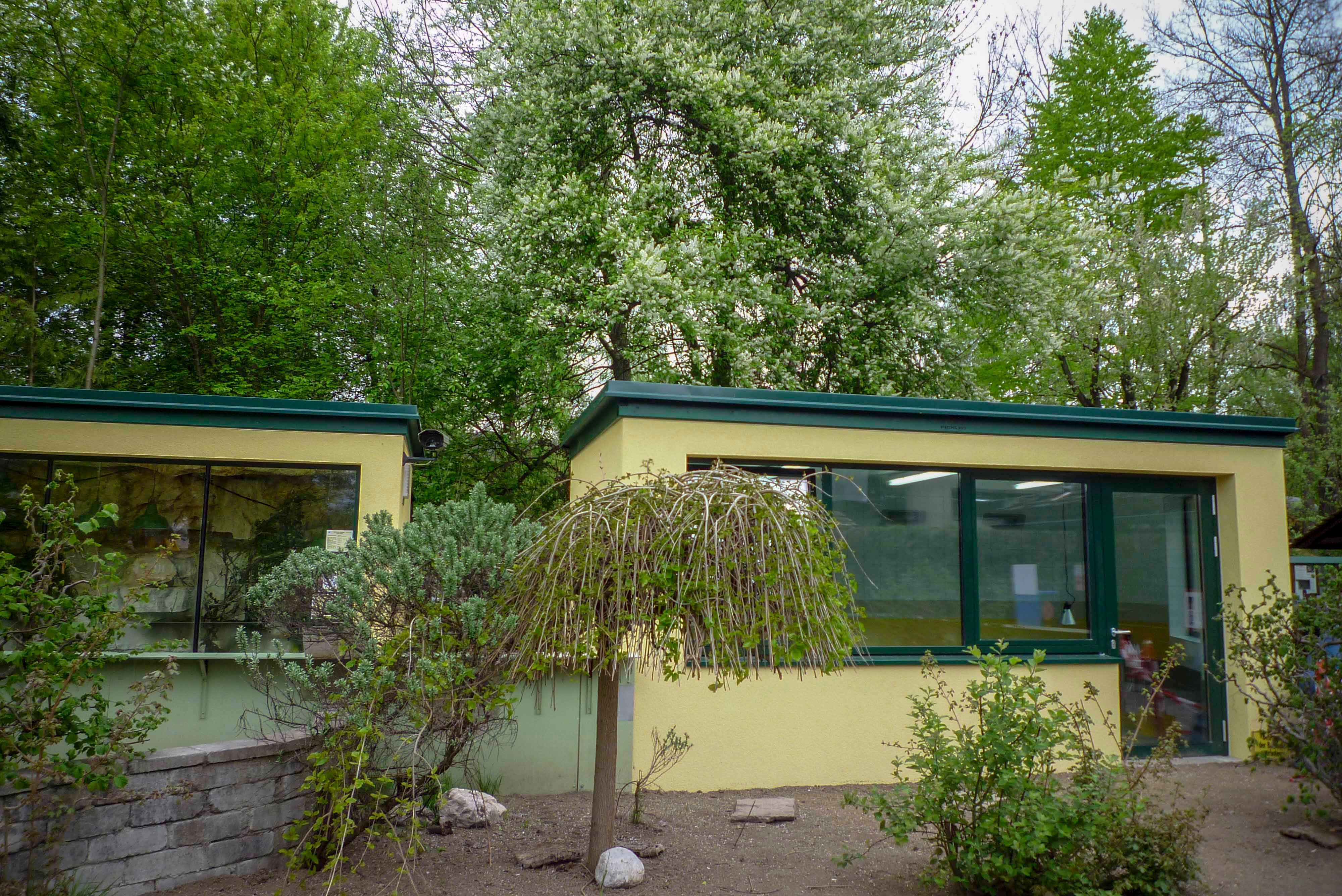 New houses for Bibi and for Poldi.