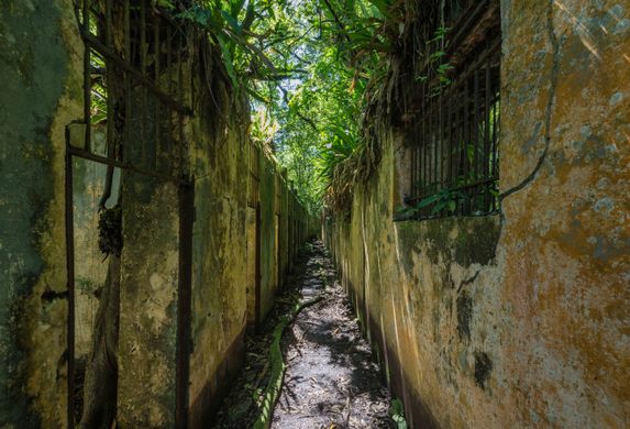 Inside the Brutal French Guiana Prison That Inspired 'Papillon' - Atlas  Obscura