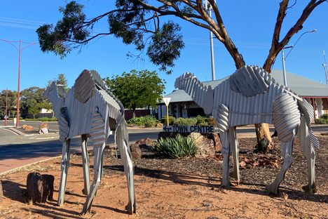 Tin Camel Roundabout