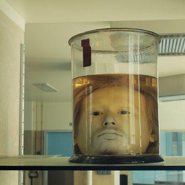 The head of Diogo Alves