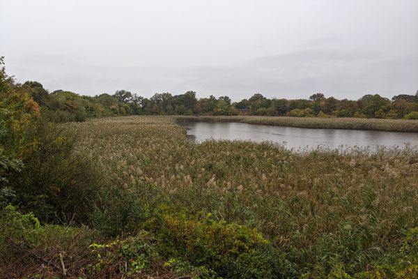 The former reservoir’s Basin #2.