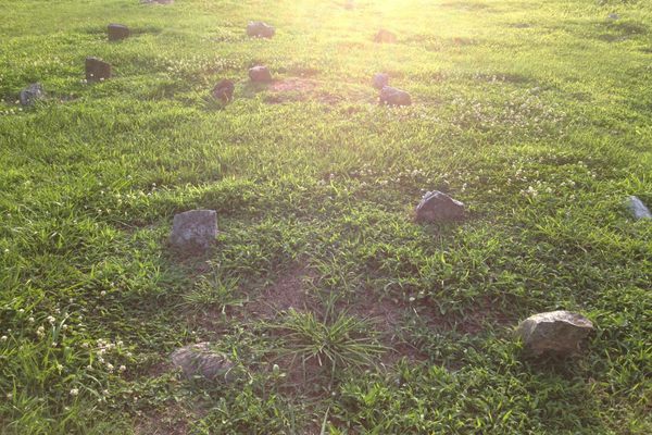 Field of stones.