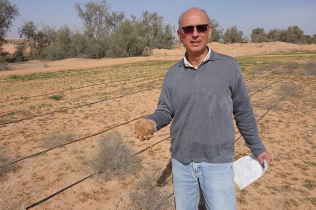 Yaron Sitrit, holding one of his hard-earned truffles.