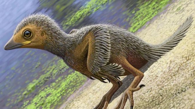 Like other members of the enantiornithine family, the fossilized fledgling (reconstructed here) likely had claws on its wings.