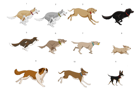 Dog designs, based on the team's own pets. 