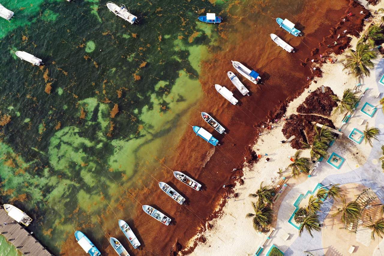 Tons of sargassum in Puerto Morelos, Mexico, seen here in 2019, present a distinct problem for the tourist industry. 