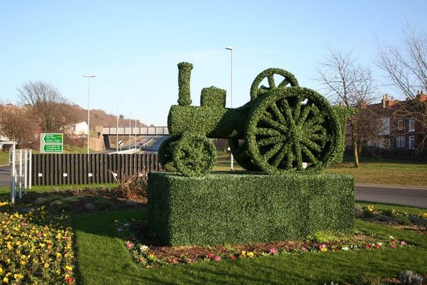 Topiary on nearby roundabout.
