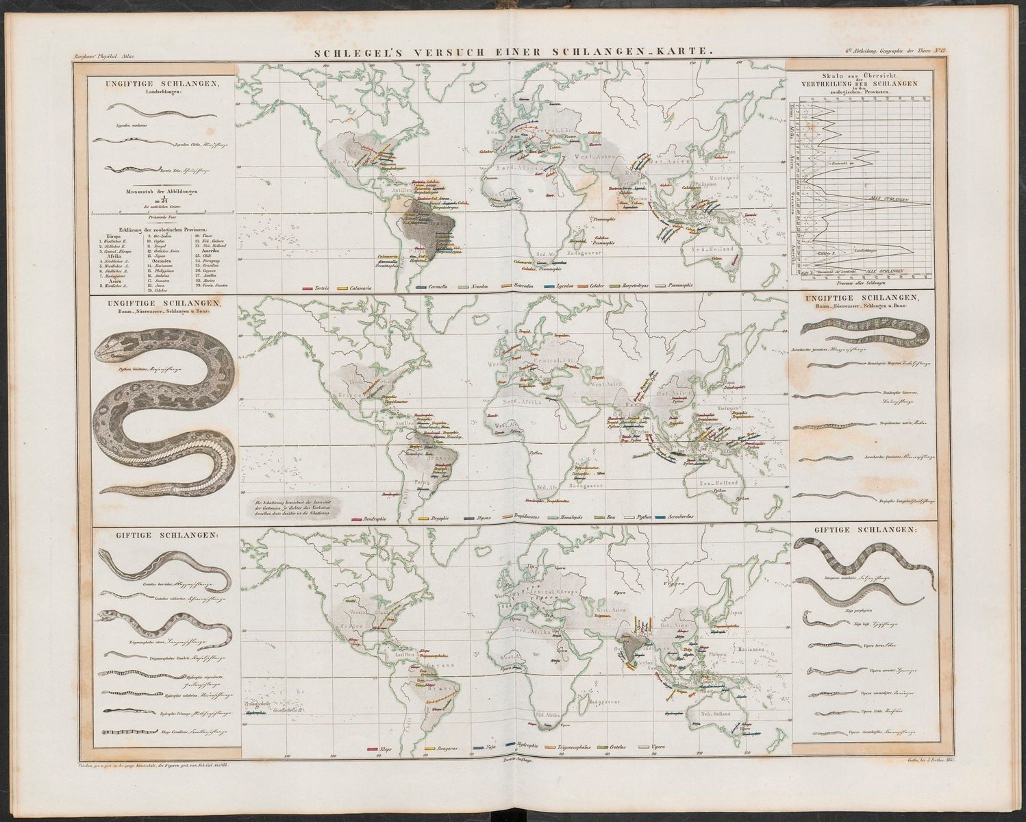 A helpful map of worldwide snake distribution, also from the Physikalischer Atlas. 