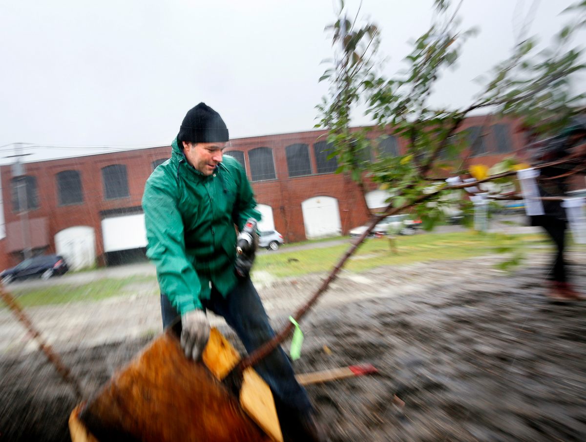 Sam Van Aken plants his hybridized fruit trees at Thompson's Point after making the journey with them from his home base in Syracuse, New York, as part of his Tree of 40 Fruit project.
