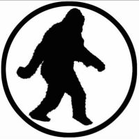 Profile image for tonnstock
