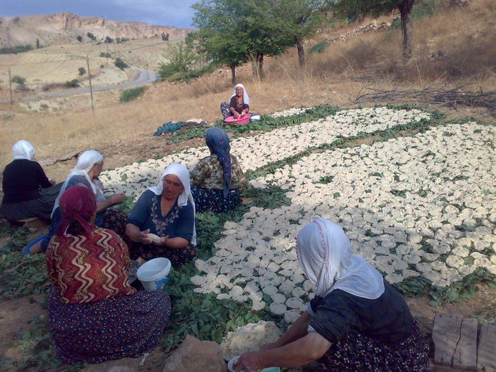 Kurdish women preparing the dried dairy balls in Turkey, where they're known as kashk.