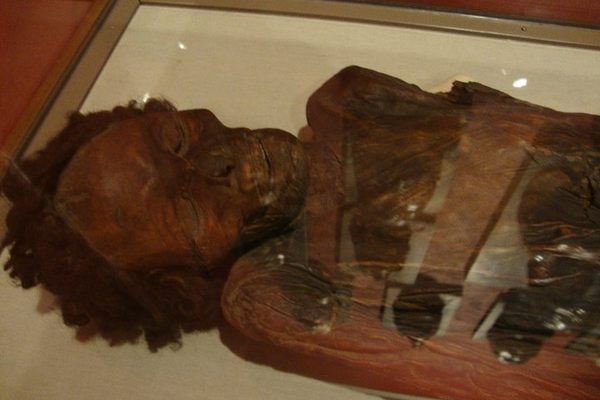 Partial view of the mummy.
