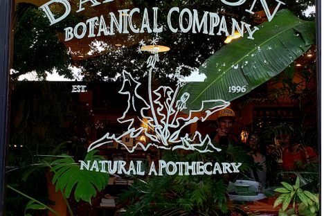 Dandelion Botanical Company ~ Natural Apothecary