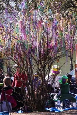 Tulane's Mardi Gras Bead Tree – New Orleans, Louisiana - Atlas Obscura