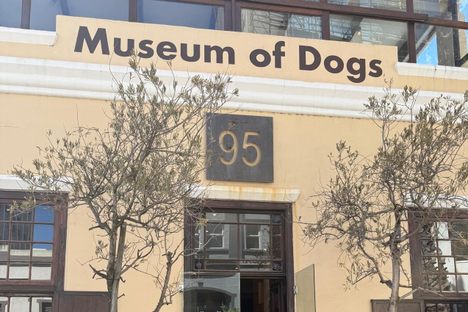 The Museum of Dogs