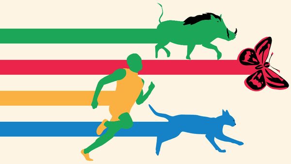 A Visual Guide to How Terribly the World's Best Human Athletes Fare Versus  Most Average Animals - Atlas Obscura