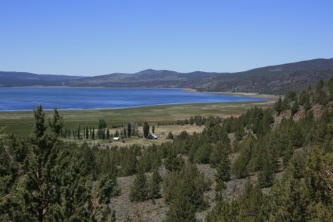 Eagle Lake, north shore.