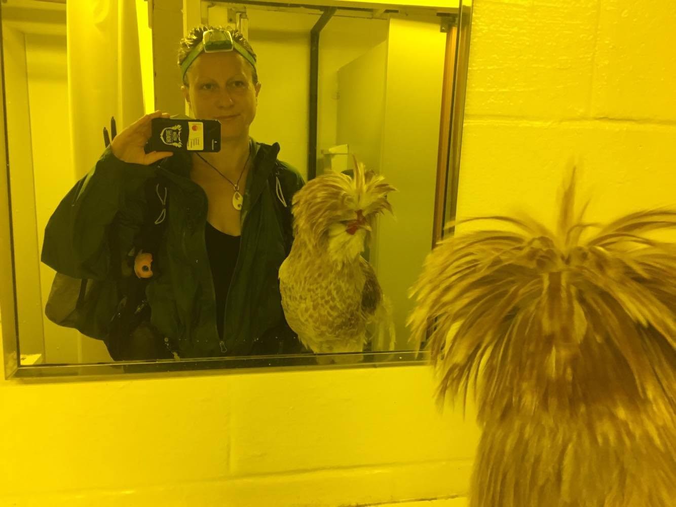 Bathroom glamour shot.