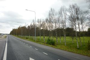 Photo of Uppsala