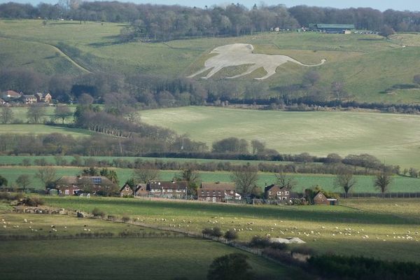 The lion seen from Gallows Hill.