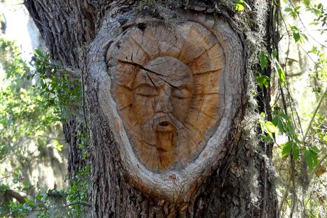 A tree spirit.
