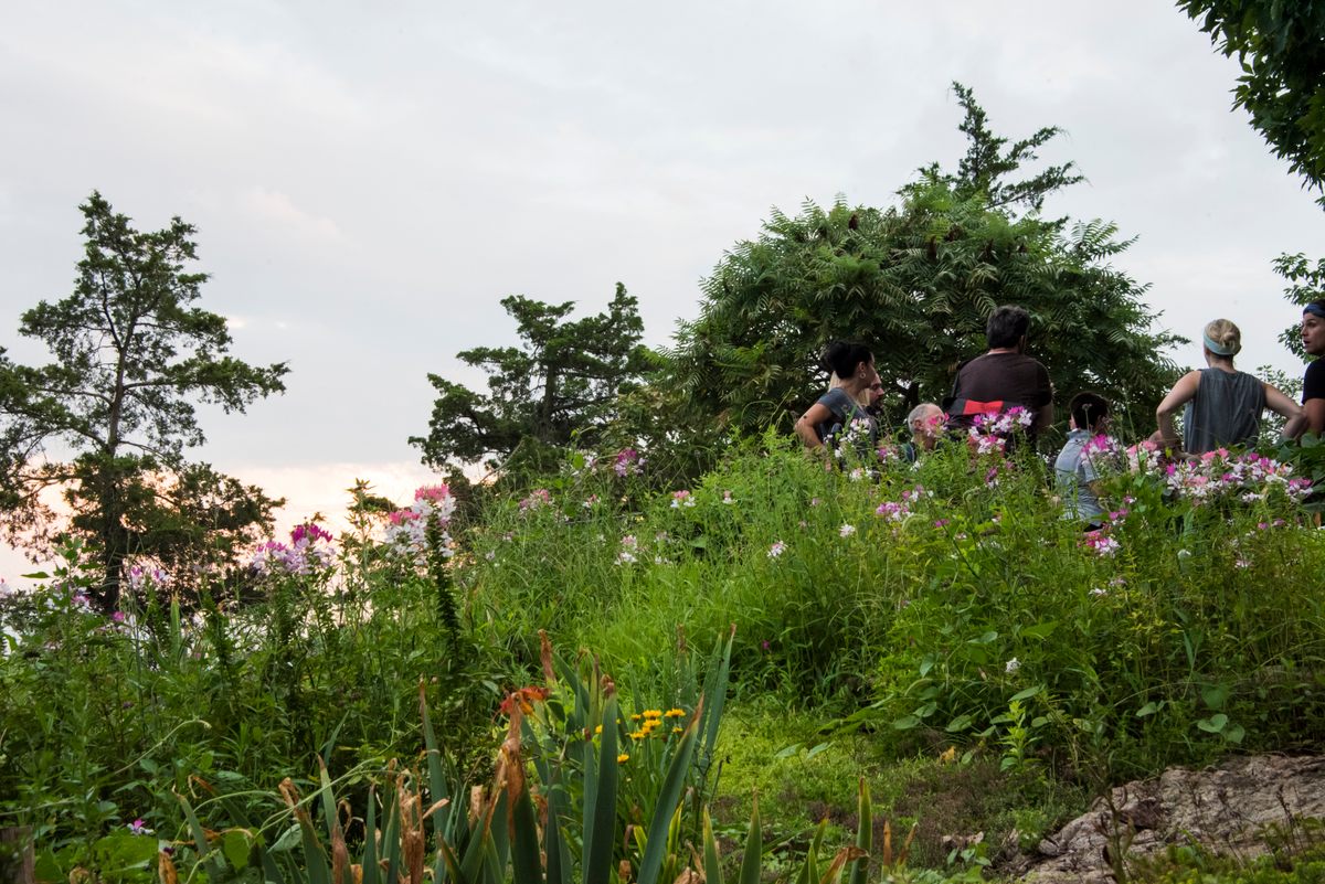 Guests gather among the green environs. 