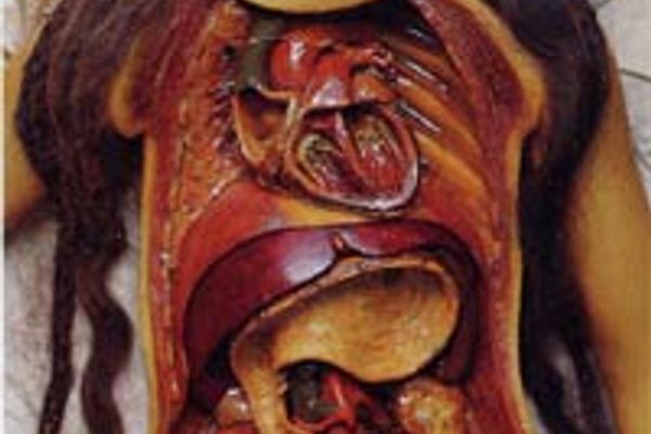 Anatomical Venus by Clemente Susini