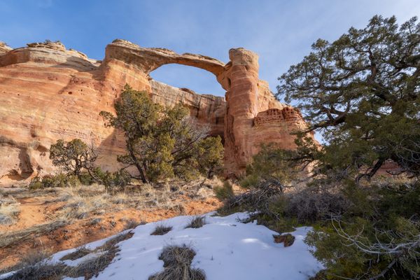 Fresh snow is preserved by radiating sandstone heat by the shade provided by a Pinyon Pine tree.