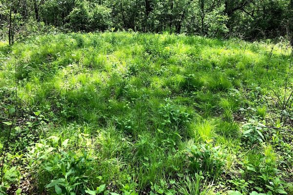 Winfield Mounds