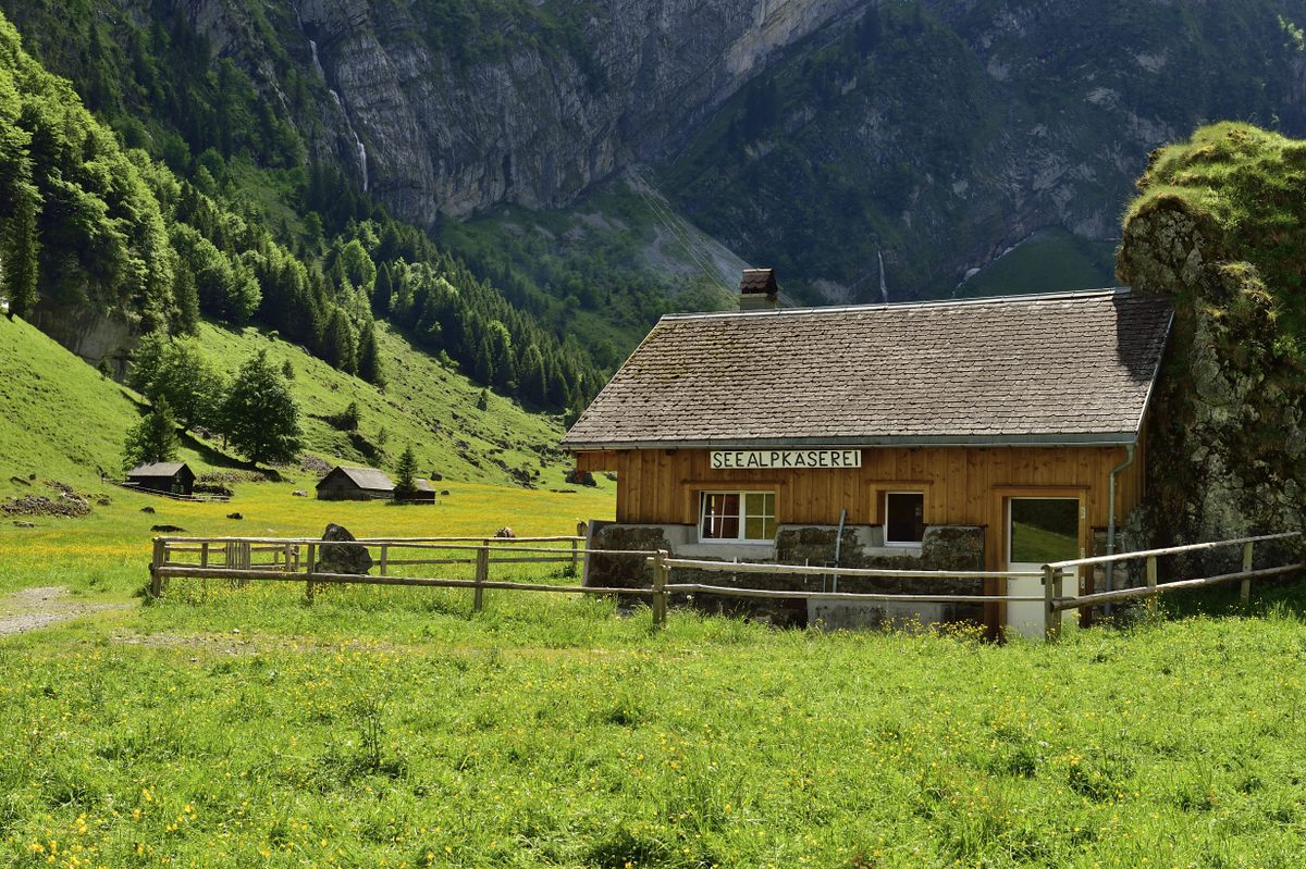 A dairy farm in the Swiss canton of Appenzell Innerrhoden.