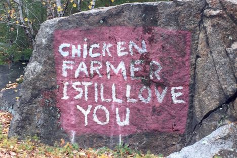 Chicken Farmer Rock