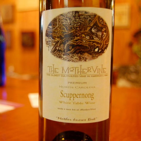Scuppernong vineyards outlet