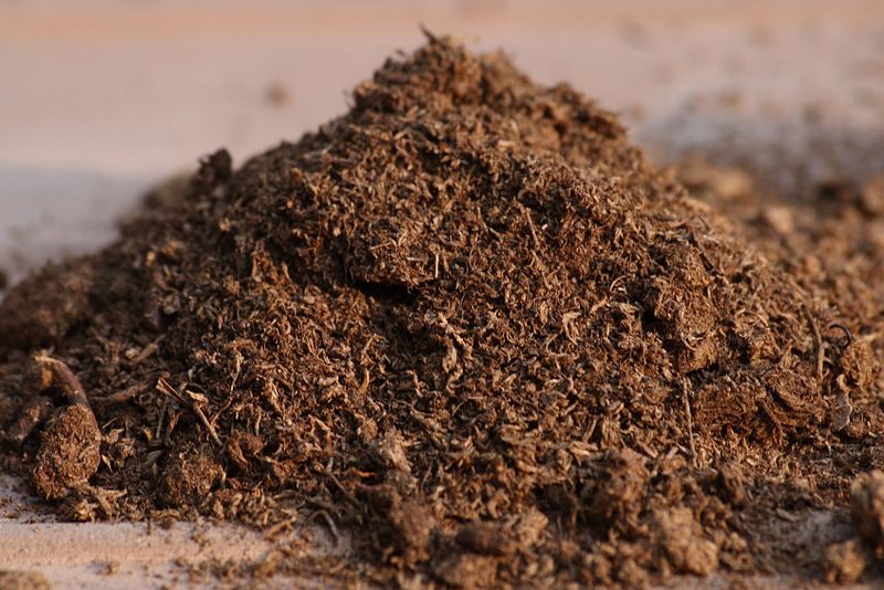 Peat moss, prepared for use as a soil additive.