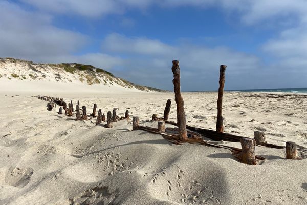 Alex T. Brown Shipwreck