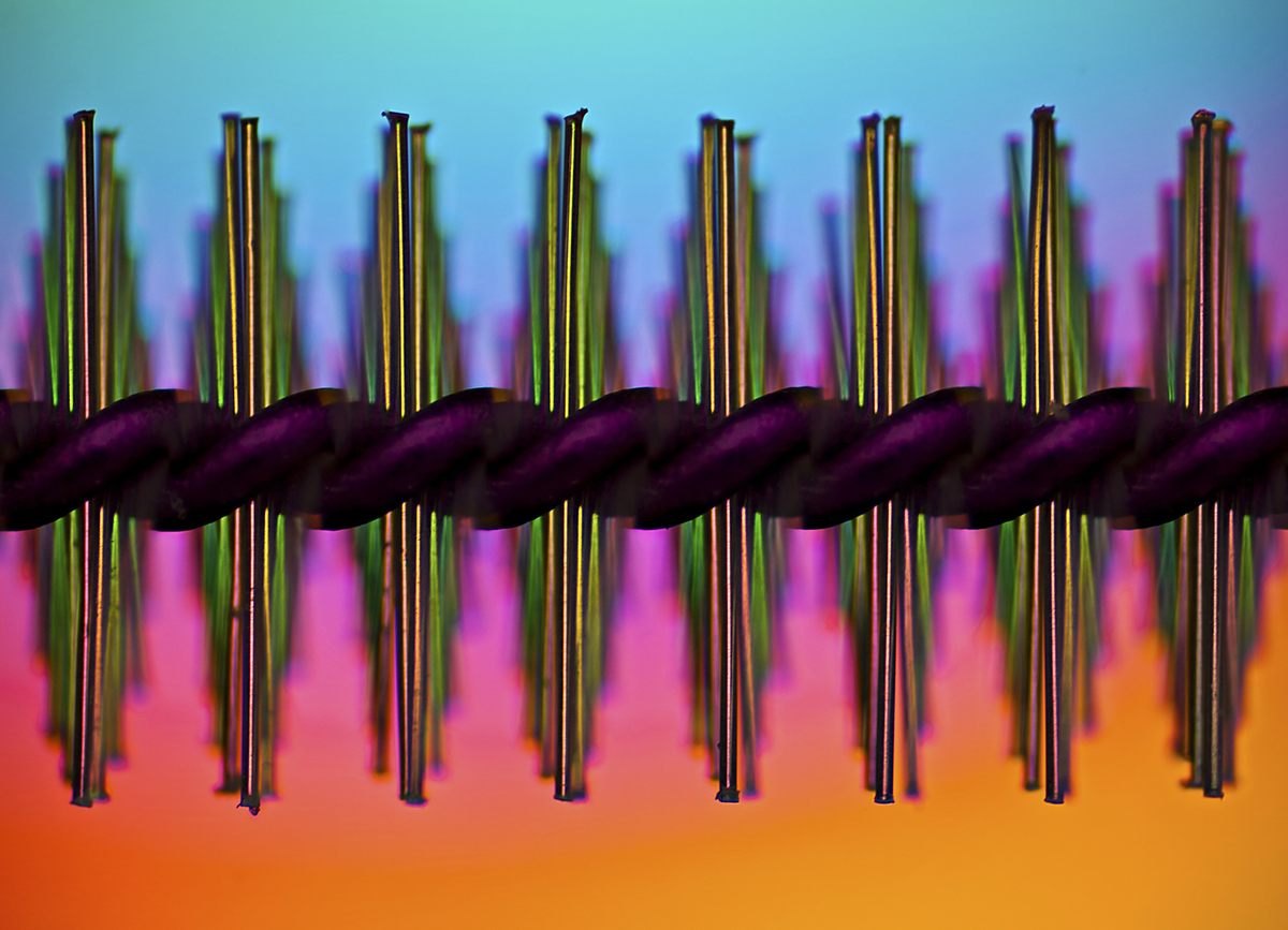 Interdental brush (Image of Distinction).