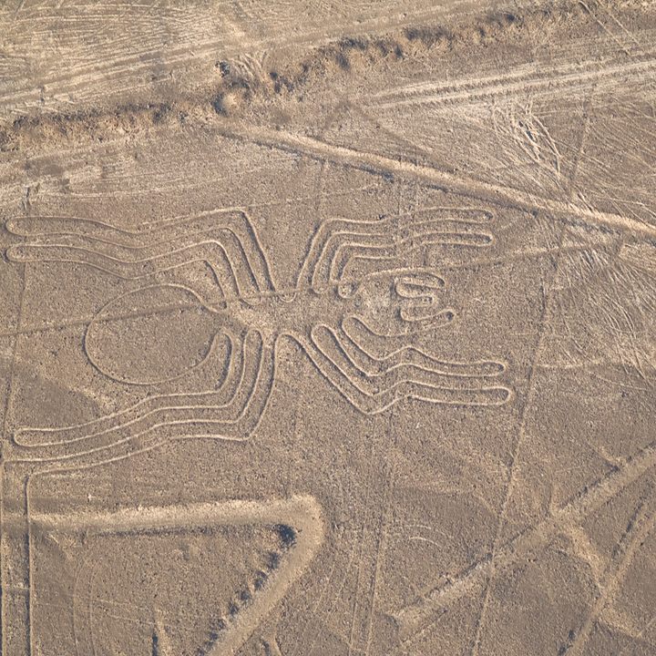 Nazca lines drawings